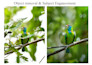 make your photos looks post ready